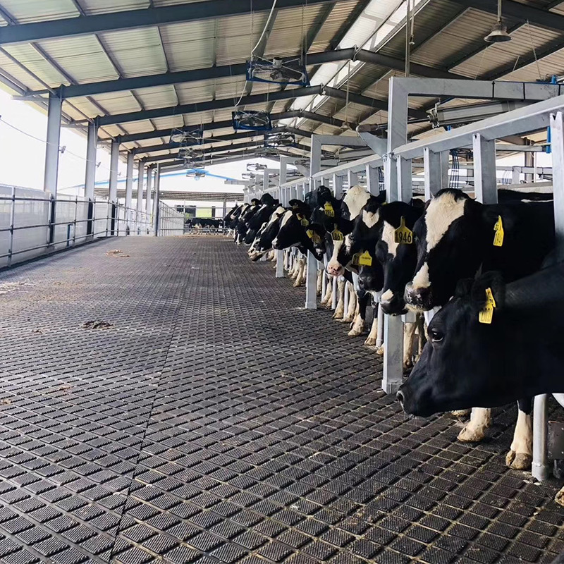 Tapis de vache