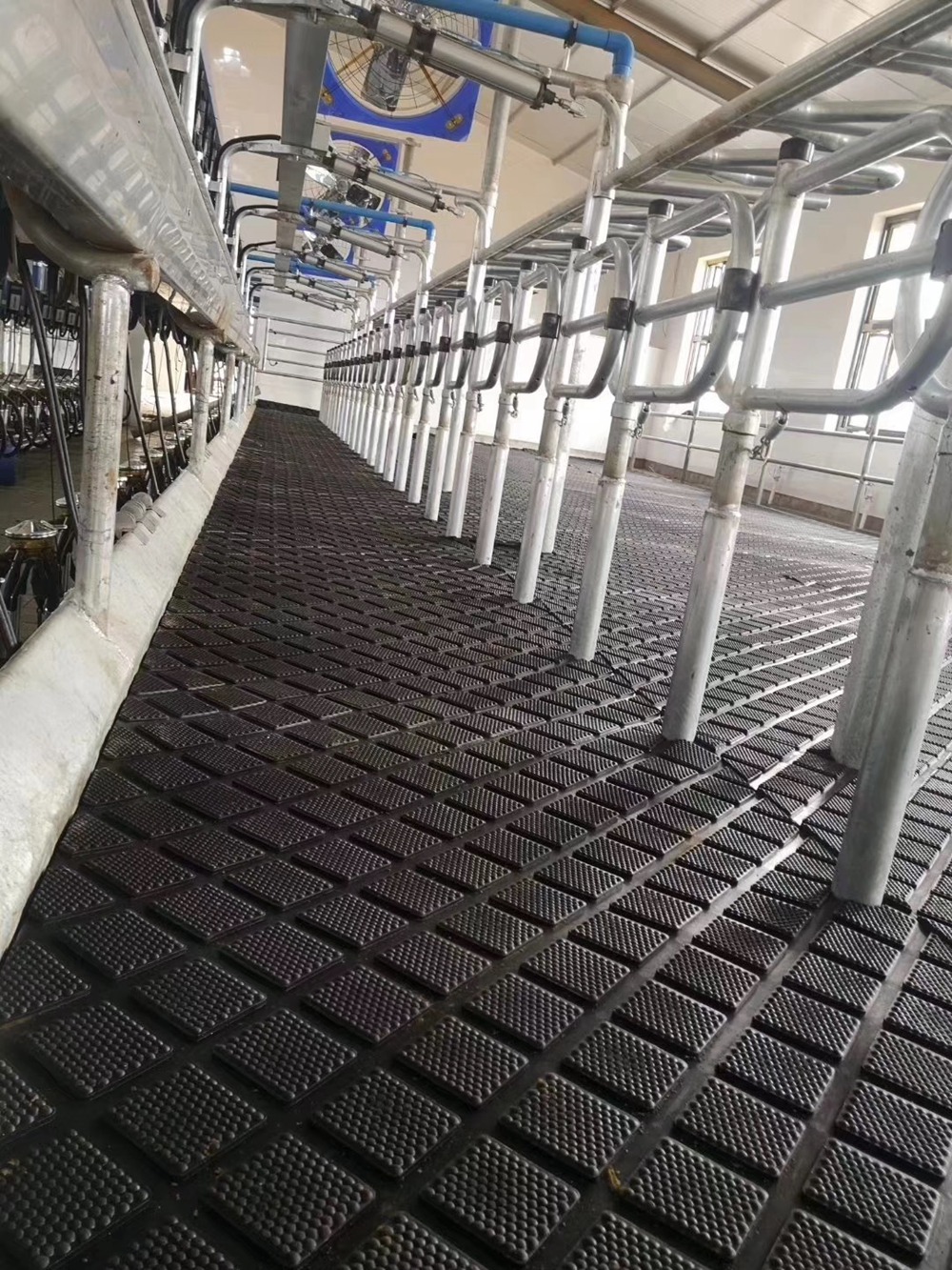 Tapis de vache