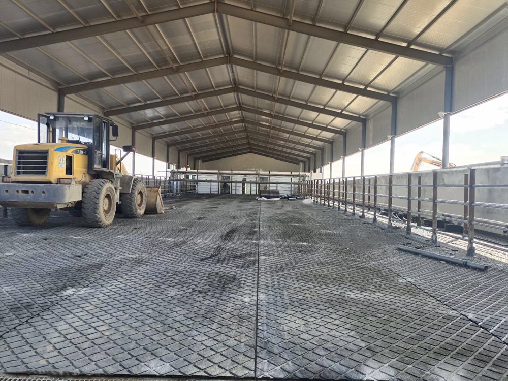 Tapis de vache